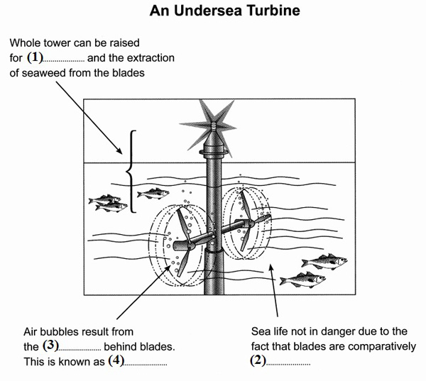 Ielts Reading Diagram Labelling Questions