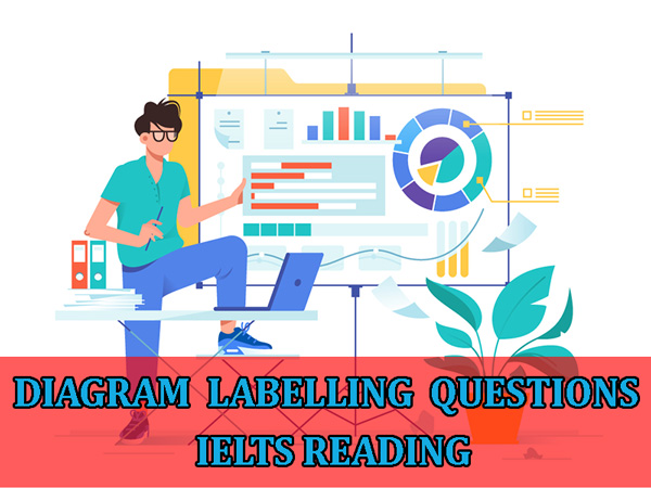 Diagram Labelling Questions in Ielts Reading