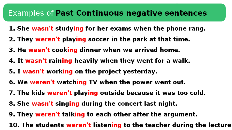 past continuous tense example