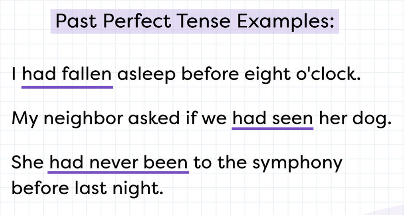 past perfect tense example