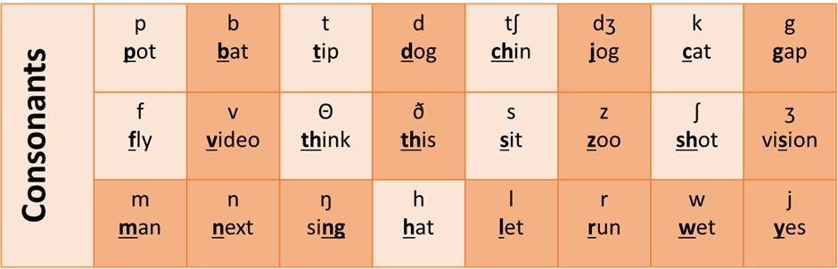 Many learners confuse single and double consonants in words