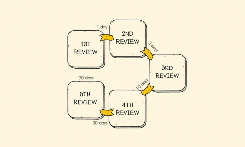 Spaced-repetition-follows-a-smart-review-cycle-that-strengthens-memory-through-repeated-exposure-over-time