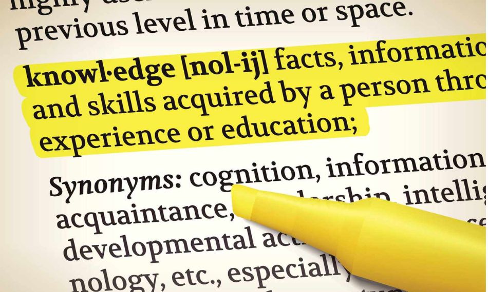A synonym clue uses similar words or phrases to explain the unknown word directly or indirectly.