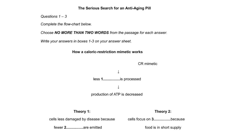 Flow Chart Completion kiểm tra khả năng theo dõi và sắp xếp tiến trình.