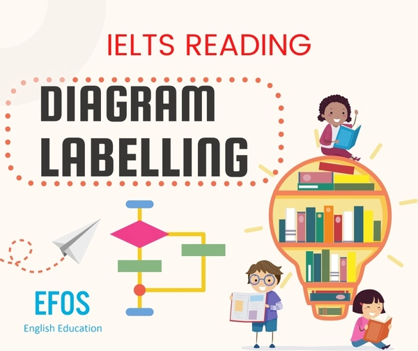 diagram labelling IELTS Reading - w