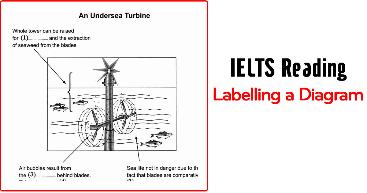 diagram labelling ielts reading strategies