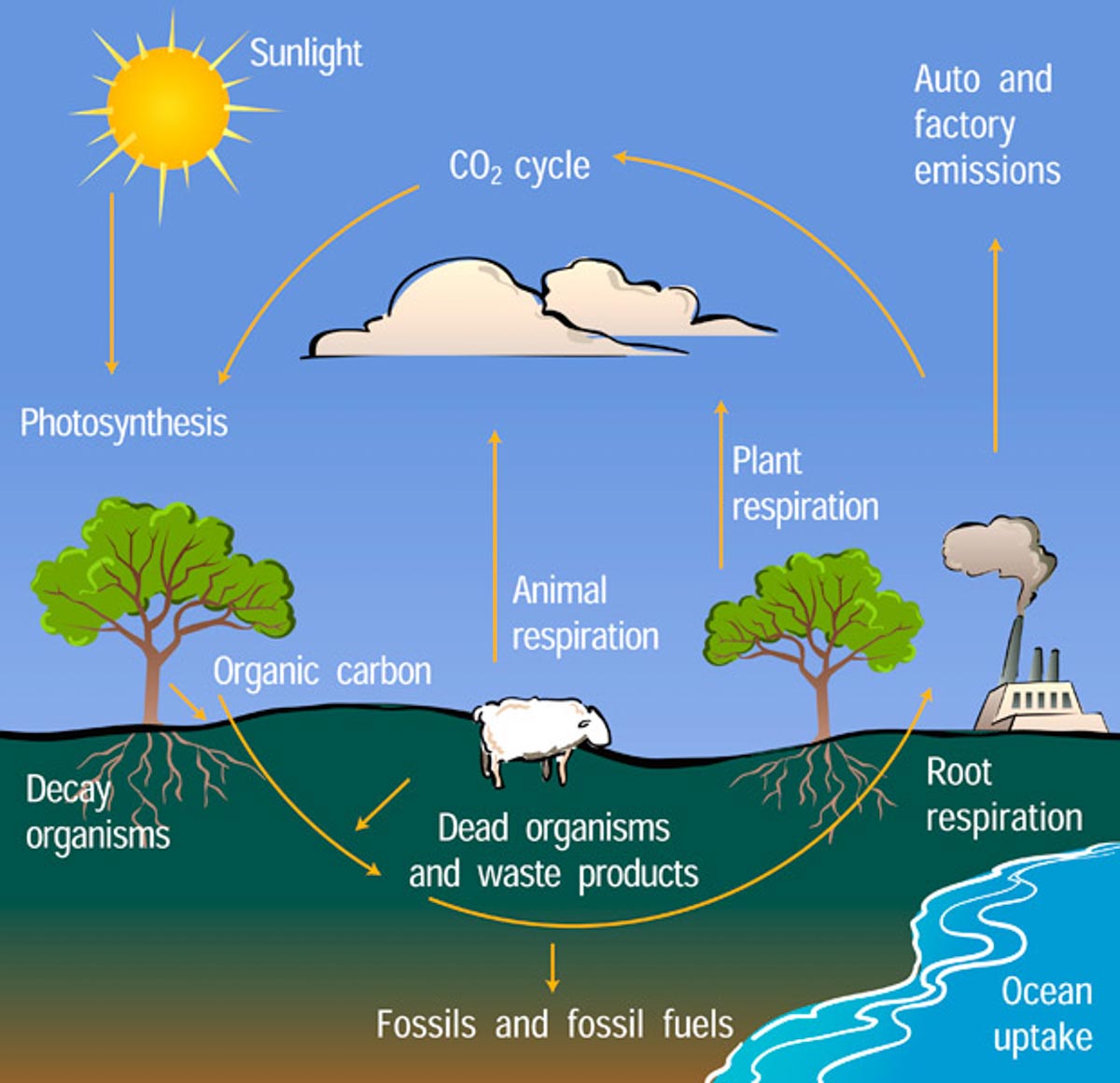 natural process writing task 1