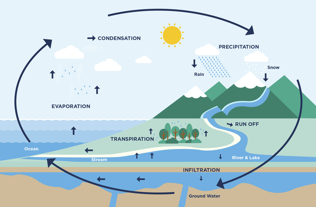 natural process writing task 1 vocab